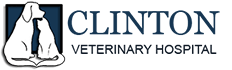 Best Vet Hospital in Clinton, MD | Clinton Veterinary Hospital